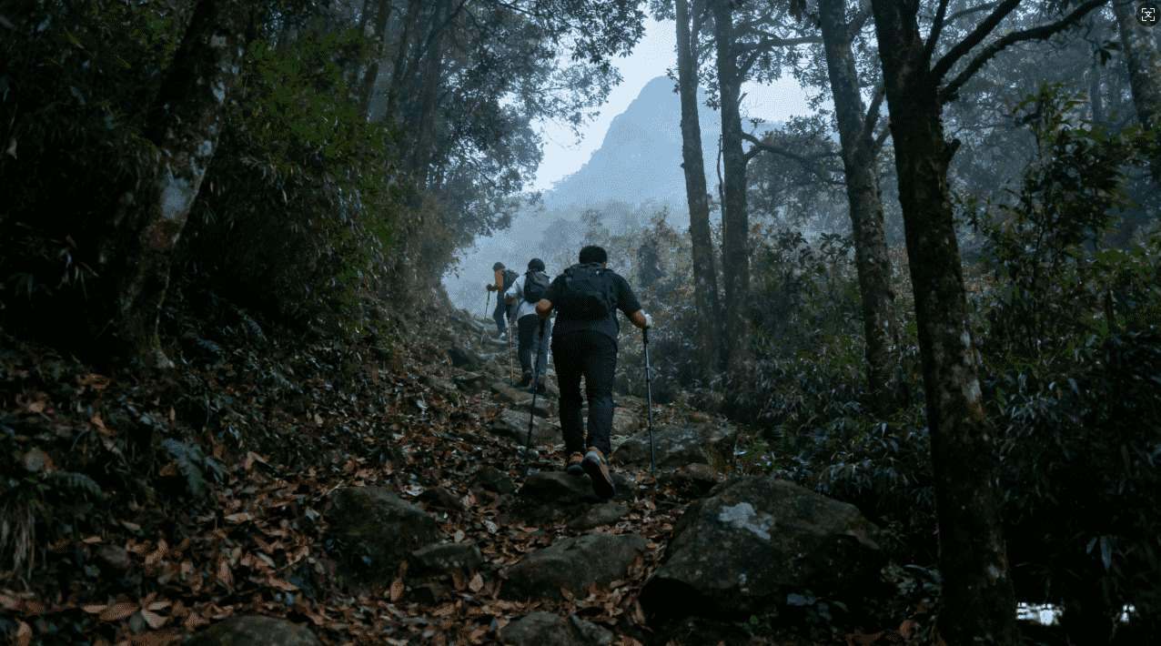如何选择适合你的网游加速器与VPN软件